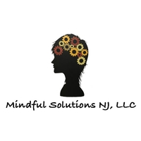 Mindful Solutions