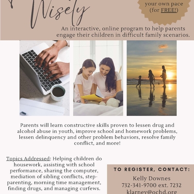 Parenting Wisely Online Course