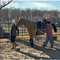 Hope In Her Eyes Equine Facilitated Wellness