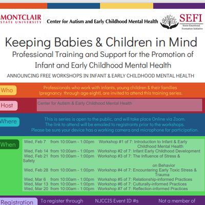 Professional Training & Support for the Promotion of Infant & Early Childhood Mental Health