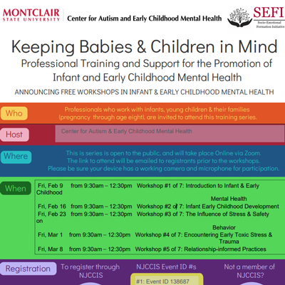 Professional Training & Support for the Promotion of Infant & Early Childhood Mental Health