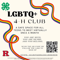 4H LGBTQ+ Virtual Club